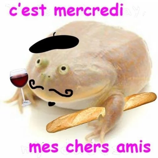 Эмодзи Wednesday My Dudes 🇫🇷