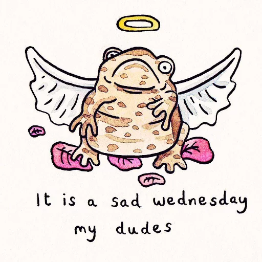 Telegram Sticker «Wednesday My Dudes» 🐸