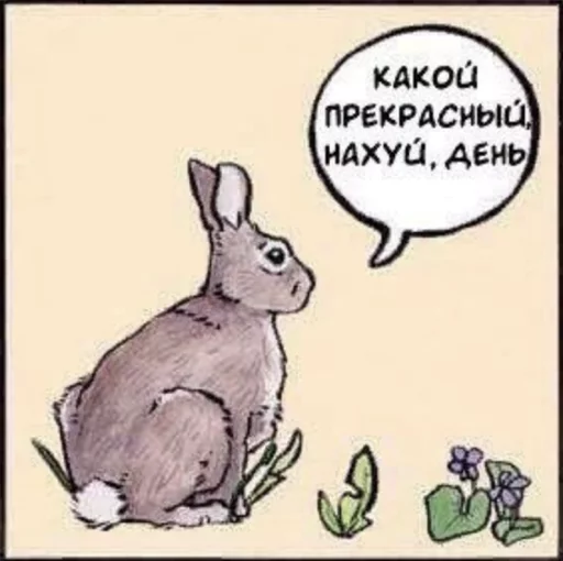 Стікер what_a_beautiful_day 🐇