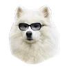 Емодзі телеграм White Dog Emoji