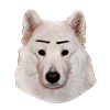 Емодзі White Dog Emoji 🤨