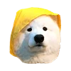 Емодзі White Dog Emoji 😶