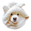 Емодзі White Dog Emoji 💂‍♂️