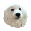 White Dog Emoji emoji 😐