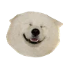 Емодзі White Dog Emoji 😁