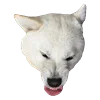 White Dog Emoji emoji 😡