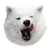 Емодзі White Dog Emoji 😋