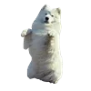 Емодзі White Dog Emoji 🐶