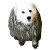 White Dog Emoji emoji 💩
