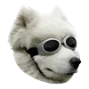 Емодзі White Dog Emoji 😎