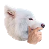 Емодзі White Dog Emoji 🤔