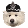 Емодзі White Dog Emoji 👮‍♂️