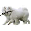 Емодзі White Dog Emoji 👩‍❤️‍👨