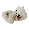White Dog Emoji emoji 👩‍❤️‍👨