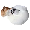 Емодзі White Dog Emoji 🫤