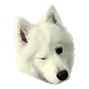 Емодзі White Dog Emoji 😉
