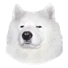 Емодзі White Dog Emoji 😐