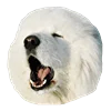 White Dog Emoji emoji 🥱