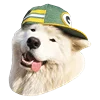 Емодзі White Dog Emoji 🤪