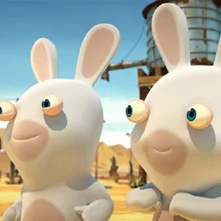 Wild Rabbits after washing emoji 🤣
