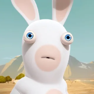 Wild Rabbits after washing emoji 😧