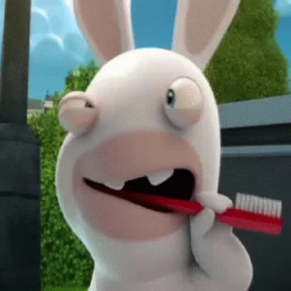 Wild Rabbits after washing emoji 🪥