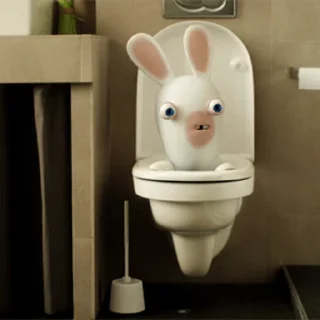 Wild Rabbits after washing emoji 🚽