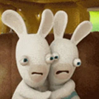 Wild Rabbits after washing emoji 🥶