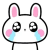 Winter Bunny 🐰 emoji 👋