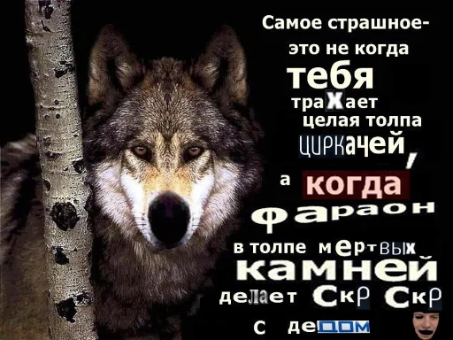 Telegram stiker «Волчьи цитаты» 🐺