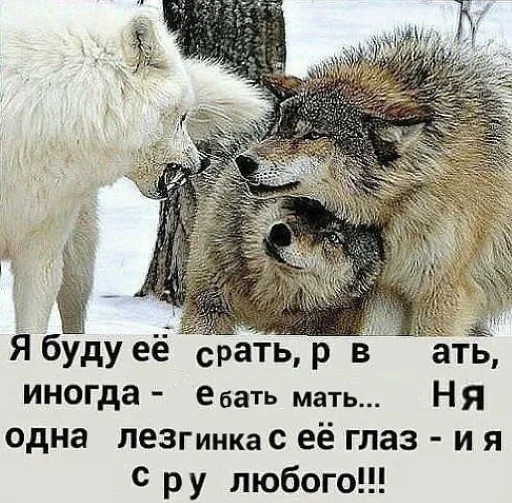 Стікер Telegram «Волчьи цитаты» 🐺