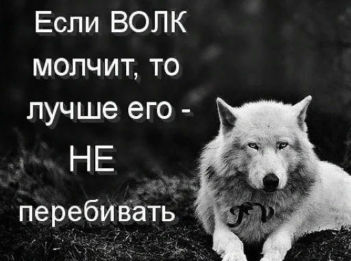 Стікер Telegram «Волчьи цитаты» 🐺