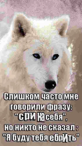 Telegram Sticker «Волчьи цитаты» 🐺