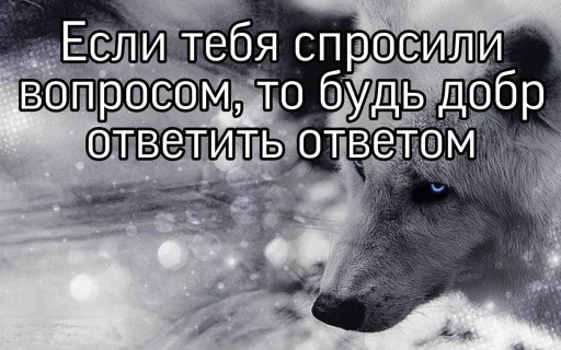 Стикер Telegram «Волчьи цитаты» 🐺