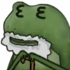 Эмодзи Worry Frog Emoji 👨‍🦳