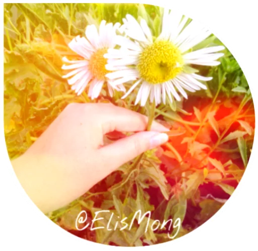 Эмодзи Wow! Elis Mong! 🌼