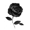 Telegram emoji «милые чёрные» 🌹