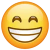 Telegram emoji «Whatsapp Emojis» 😁