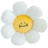 whiteaesthetica emoji 🌼