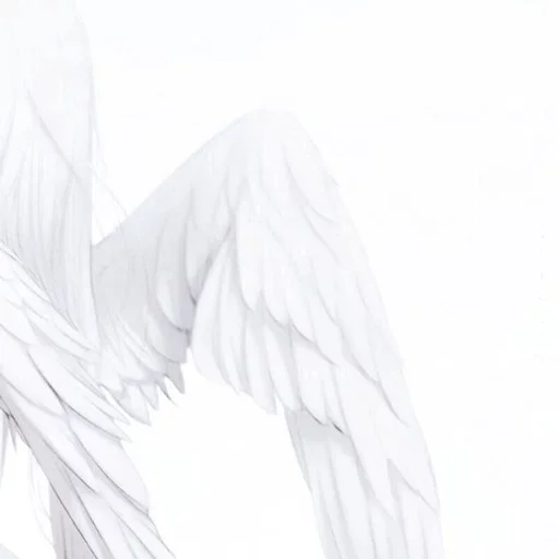 Angel / White luv pack stiker 🤍