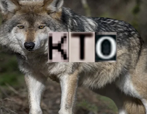 Telegram Sticker «Волк за брата» 🤨