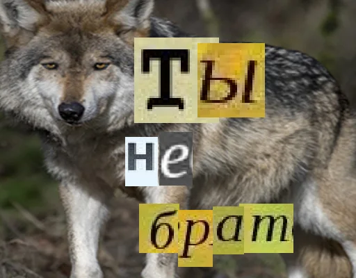 Telegram Sticker «Волк за брата» 🙅‍♂️