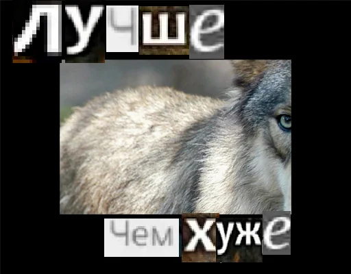 Telegram Sticker «Волк за брата» 🥴