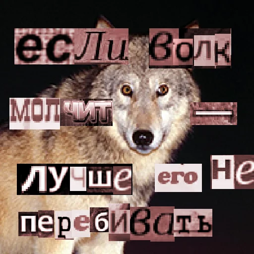 Telegram stiker «Волк за брата» 😶