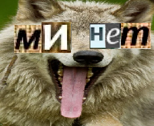 Telegram stiker «Волк за брата» 👄