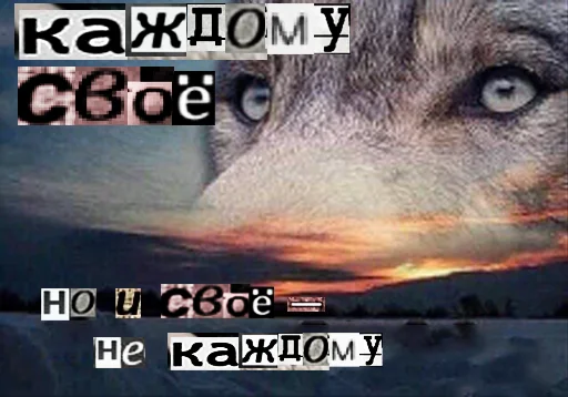 Telegram Sticker «Волк за брата» 👆