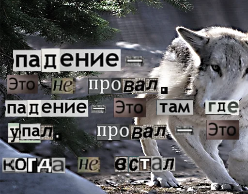 Telegram stiker «Волк за брата» 👊