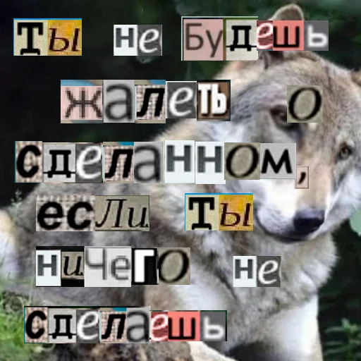 Telegram stiker «Волк за брата» 😉