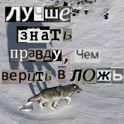 Telegram Sticker «Волк за брата» 😑