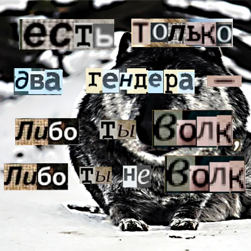 Telegram stiker «Волк за брата» ✌️